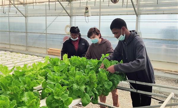 Liberty Tech Greenhouse Liberty Tech Greenhouse